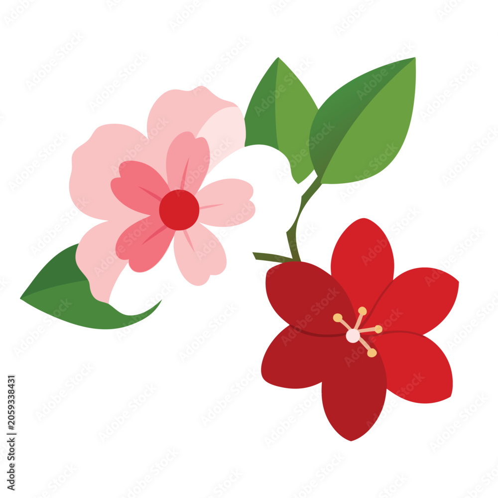 Fototapeta premium red rose isolated on white background