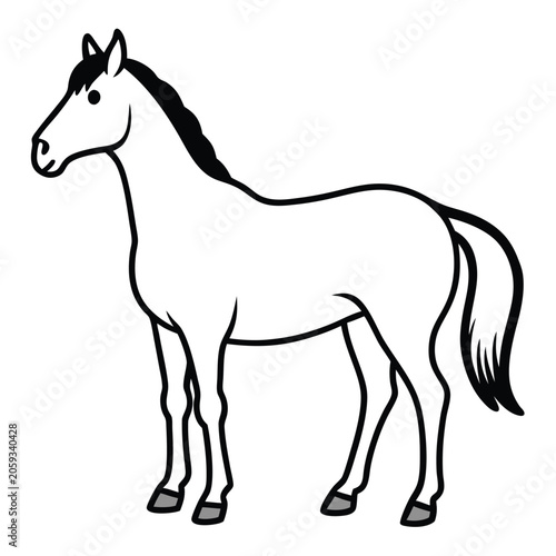 vector illustration of a horse