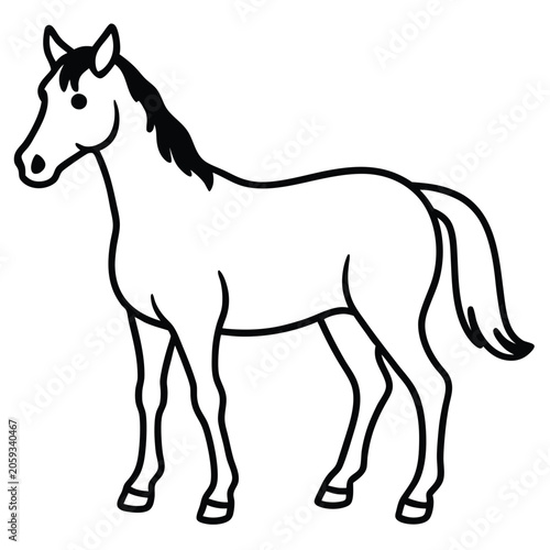 vector illustration of a horse