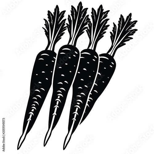 vector illustration of a carrot