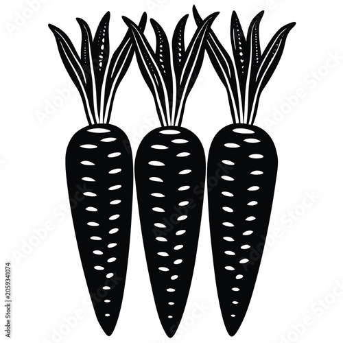 vector illustration of a carrot