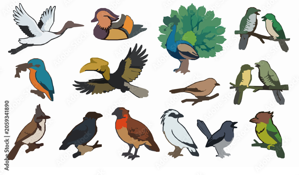 Fototapeta premium Colorful Exotic Bird Species Flat Vector Illustration Set Crane Peacock Hornbill Eagle Collection of Various Wildlife Design Elements