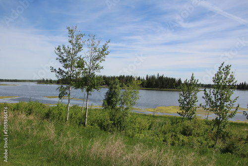 Summer On The Lake, Elk Island National Park, Alberta