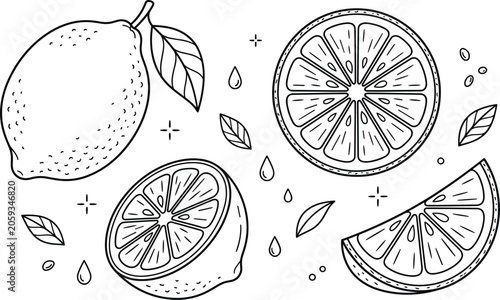 Foto Lemon fruit vector illustration set line art drawing with whole citrus half slic