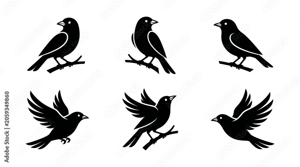 Fototapeta premium Silhouettes of Birds Perched and Flying on Branches