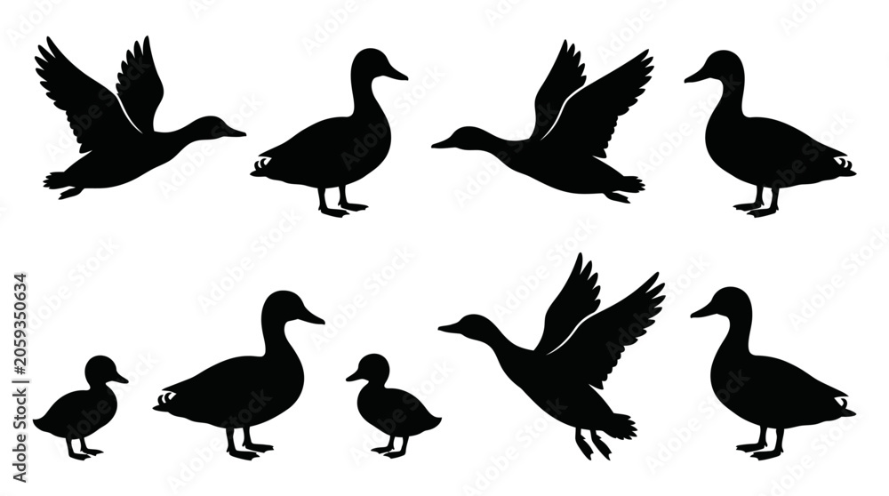 Fototapeta premium Duck Silhouettes Collection Flying and Waddling Animals