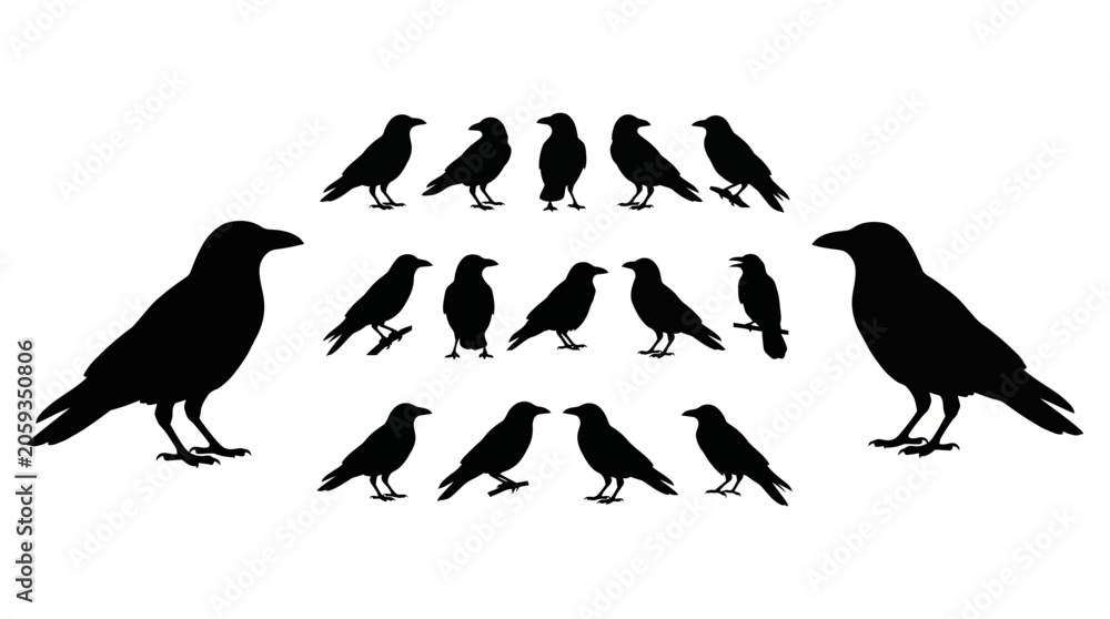 Obraz premium Set of Black Raven Bird Silhouettes in Various Posing Vector Illustrations