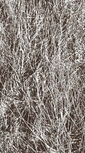 14-94. Hay Texture Vector Image of Field - Illustration.