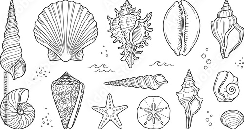 Foto Seashell line art vector set with scallop starfish nautilus sand dollar conch ma