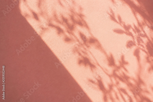 Soft botanical shadow on warm textured wall surface