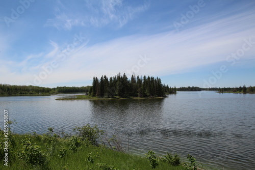 reflection of trees in water