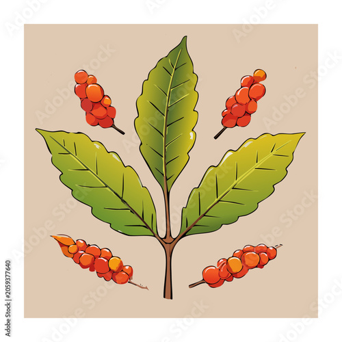 Illustration of a pepper plant with leaves and berries