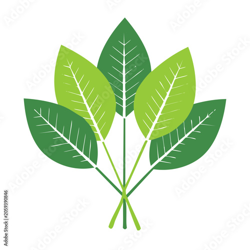 Flat design green leaf vector illustration