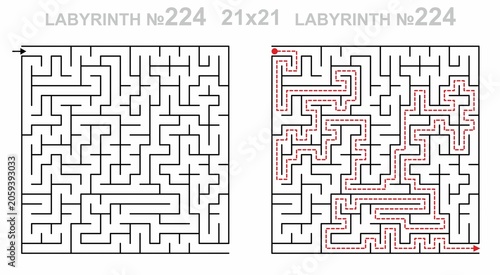 Maze challenge with answers. Complex maze path 21x21 with solution. Empty grid template for teachers. Hard.