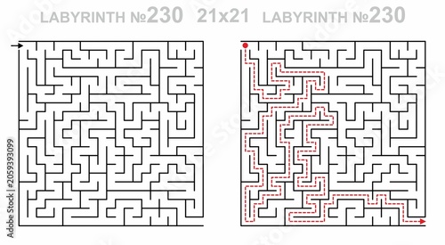 Labyrinth game grid 21x21 with solution. Complex maze path for adults. Printable puzzle with answer key. Hard level.