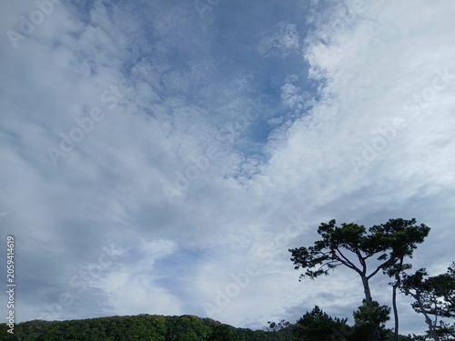白い雲が広がる青空と松の木と山の背景素材