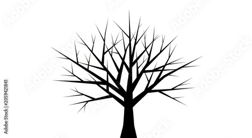 Bare winter tree silhouette without leaves on white background.