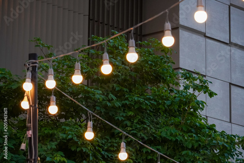 Фотография Outdoor string lights illuminate lush green foliage against a modern building fa