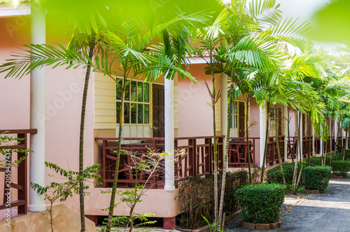 Tropical Resort Bungalows with Palm Trees in a Sunny Garden Setting. A row of light-colored cottages featuring wooden balconies, surrounded by palm trees and garden in a tranquil tropical getaway.
