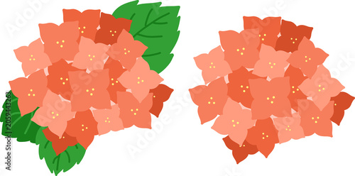 수국_꽃_여름꽃