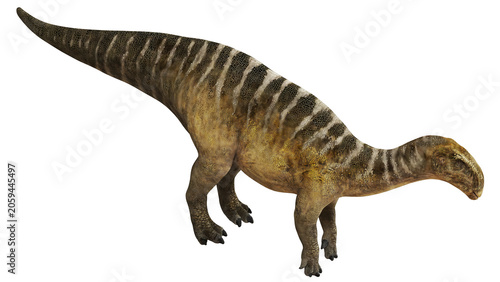 Tableau sur toile Illustration of an Iguanodon dinosaur