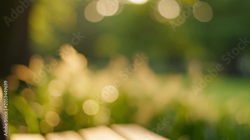 Soft focus golden hour sunlight filtering through green trees creating beautiful bokeh in a peaceful garden setting