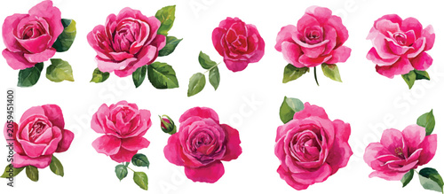 set of flowers