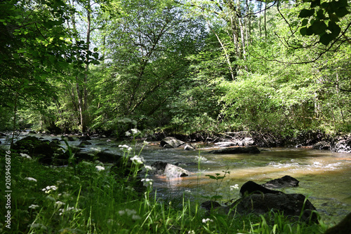 les roches d'oëtre