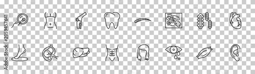 Obraz na plátne outline human body parts icons set - fertilization, female hips and waist, three bacteria, human ear