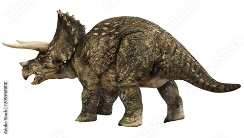 Foto Detailed illustration of a Triceratops dinosaur.
