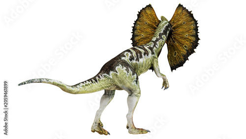 Dilophosaurus with a vibrant frill display.