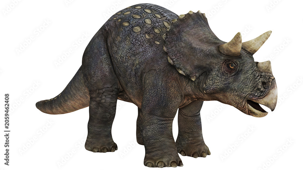 Fototapeta premium Detailed 3D illustration of a Triceratops dinosaur.