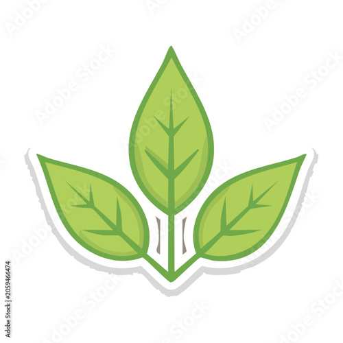 Three Green Leaves Icon with Transparent Background