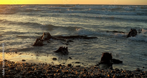 Foto Sunset in the Baltic Sea on the Curonian Spit with relict forest