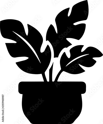 Monstera plant in a pot icon