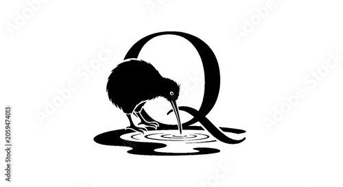 Kiwi bird drinking water from a puddle illustration.