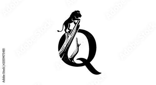 Elegant Letter Q with Mermaid and Dolphin Design.