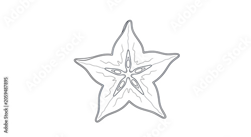 Bild auf Leinwand Star Fruit Slice Vector Illustration