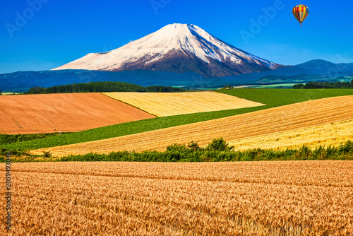 Fotografía 美瑛の美しい田園風景と富士山合成