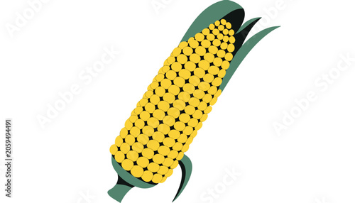 Ripe yellow corn on the cob with green leaves isolated