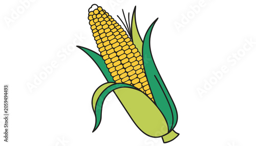 Ripe yellow corn on the cob with green husk isolated