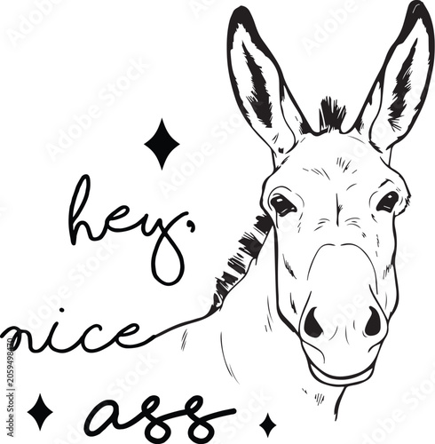 Photos Funny donkey head vector illustration with hey nice ass text, humorous farm anim