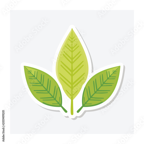 Three Green Leaves Flat Design Illustration