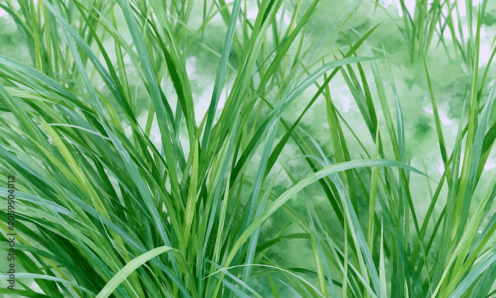Naklejka premium grass texture map for a flat object plane, the texture map is done in water color art