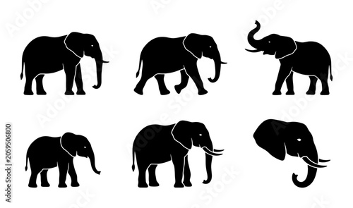 Tableau sur toile Silhouette Elephant Icons, African Wildlife Vector Graphics, Majestic Pachyderm