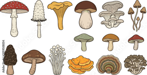 Canvastavla Mushroom and Wild Fungi Vector Illustration Set with Edible Porcini Chanterelle