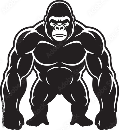 Muscular gorilla in aggressive stance vector illustration