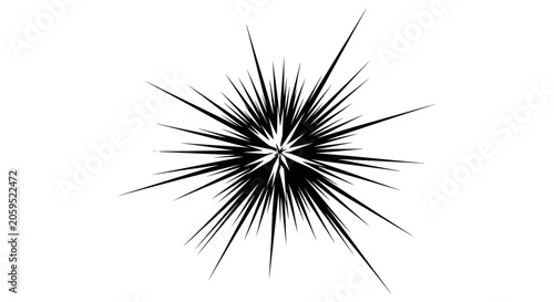 Black and White Starburst Radial Ray Graphic Element