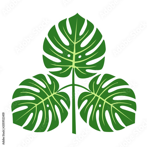 Monstera Leaves Flat Design Illustration
