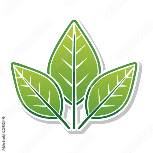 Three Green Leaves Icon on Transparent Background